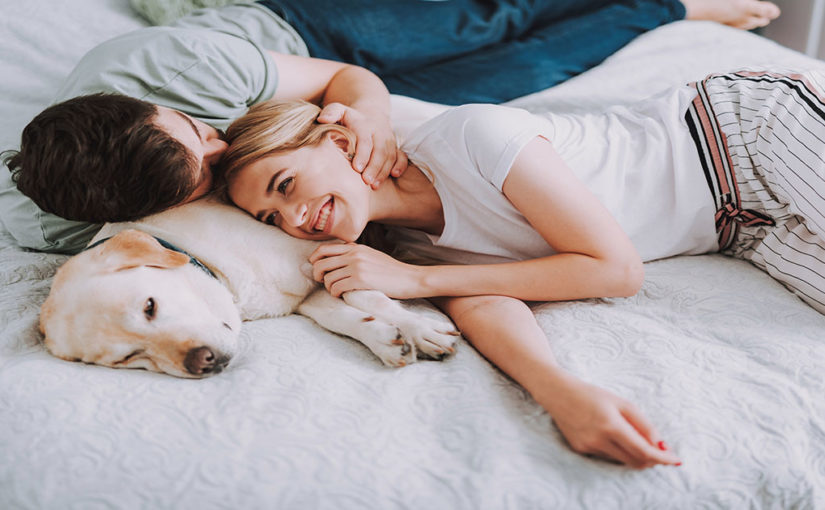 7 причин, почему собака может спать в кровати с хозяином