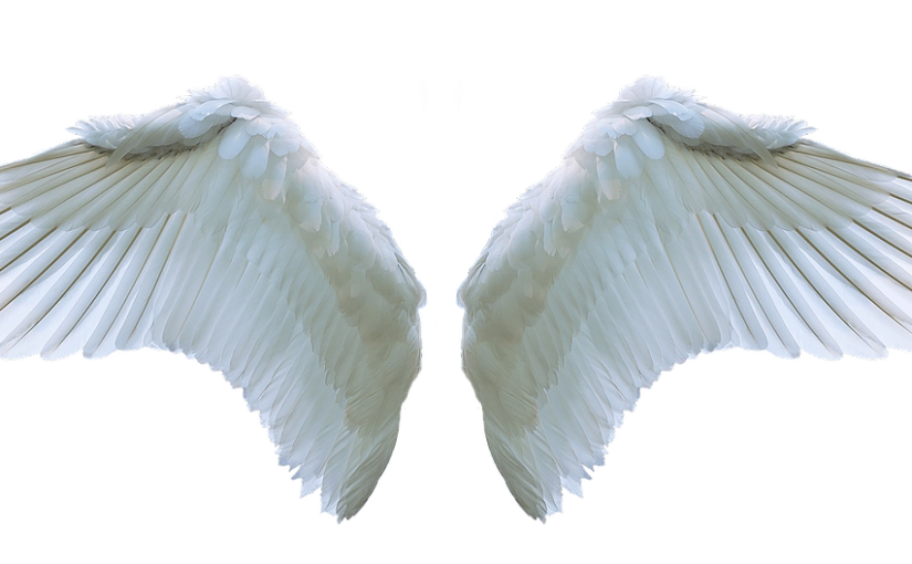 «Самый настоящий» ангел
